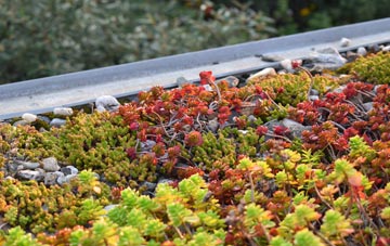 the cost of Foulden green roof installation
