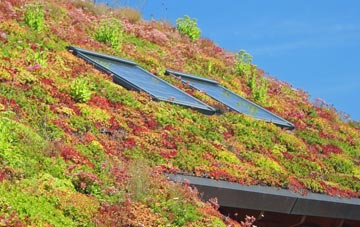 Foulden living roof systems