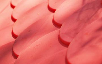 Foulden plastic roof costs