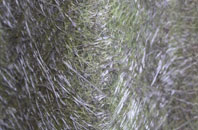 Foulden fibreglass roof work